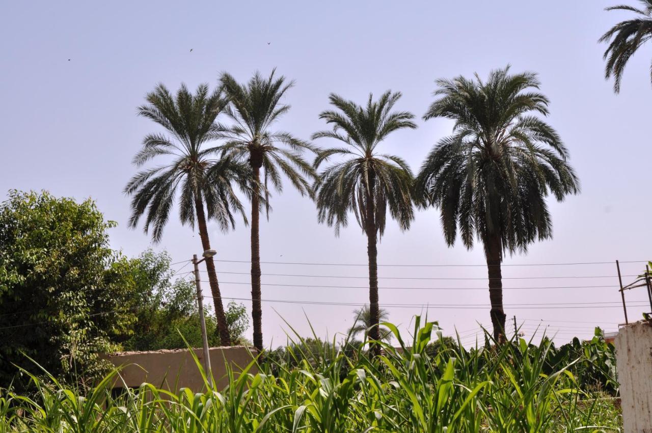 El Nakhil Hotel Luxor Ngoại thất bức ảnh