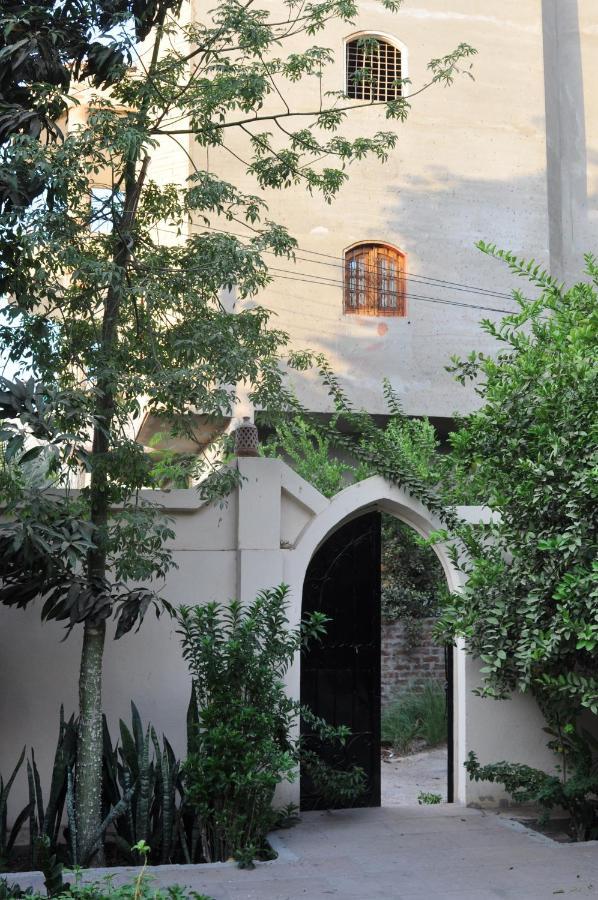 El Nakhil Hotel Luxor Ngoại thất bức ảnh