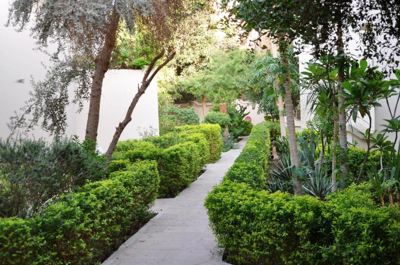 El Nakhil Hotel Luxor Ngoại thất bức ảnh