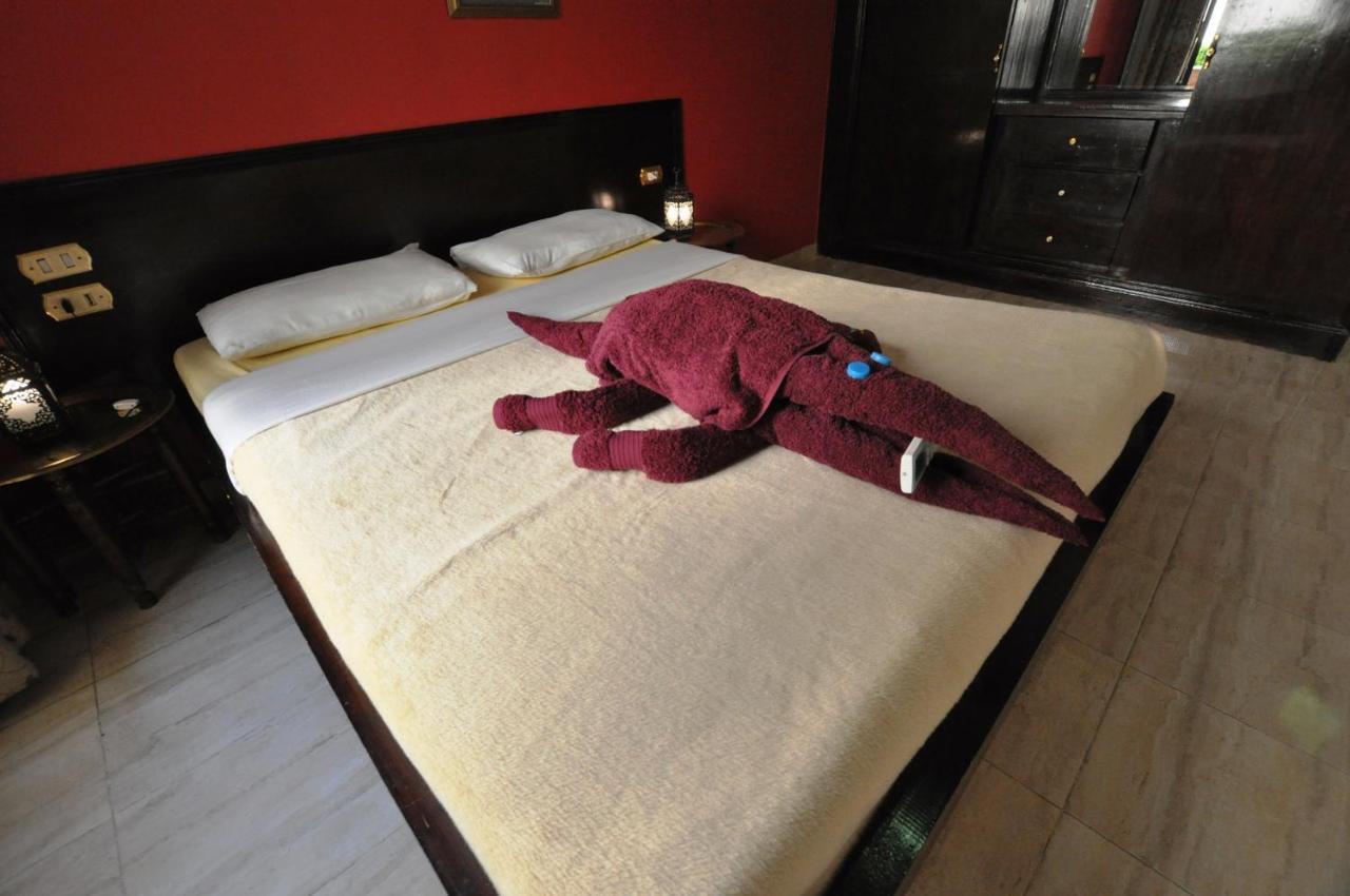 El Nakhil Hotel Luxor Ngoại thất bức ảnh